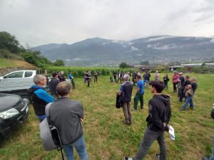 Scopri di più sull'articolo Flavescenza dorata della vite: primo successo per gli incontri formativi