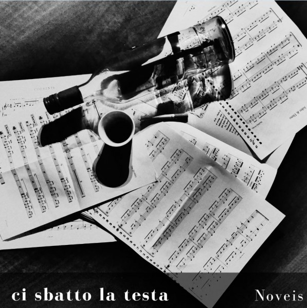 Scopri di più sull'articolo NOVEIS “CI SBATTO LA TESTA” IL RACCONTO DI UNA REAZIONE E DI UNA RIVOLUZIONE