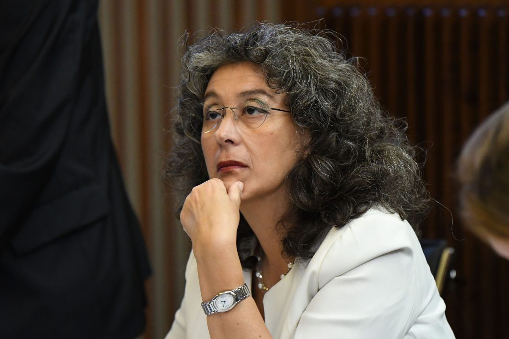 Scopri di più sull'articolo TRIESTE: ASSESTAMENTO PELLEGRINO (AVS) “MANCATI INVESTIMENTI E POCA VISIONE”