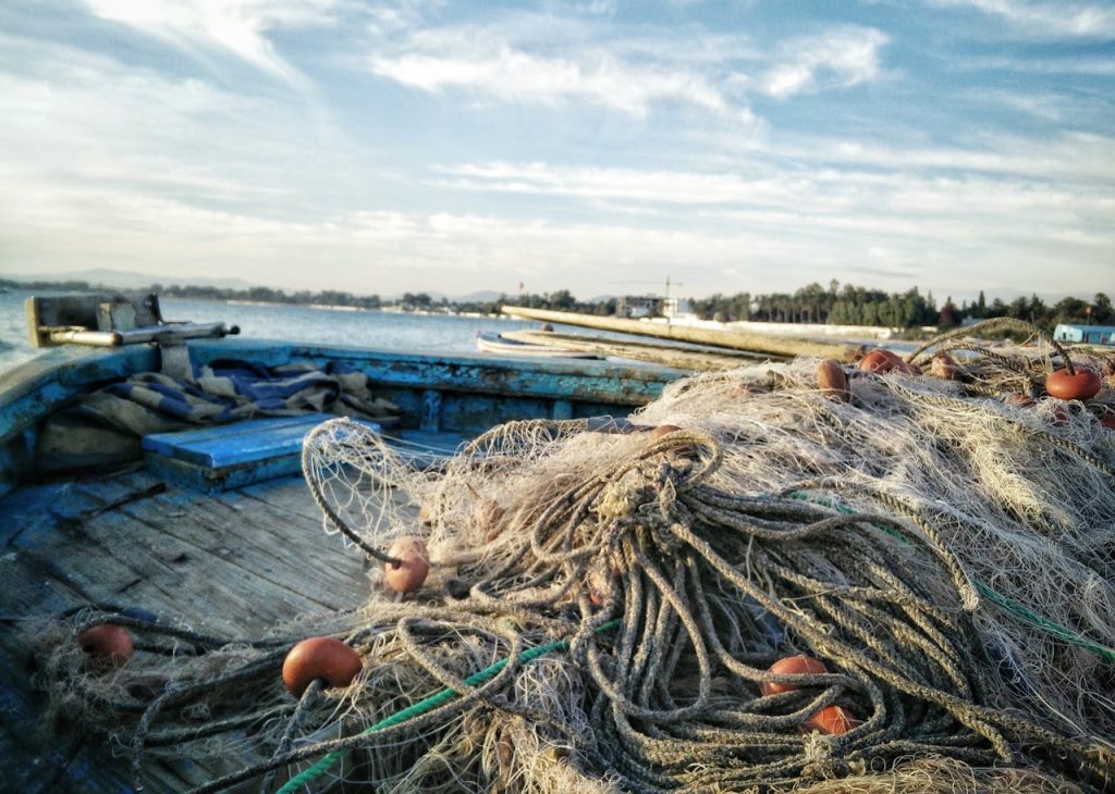 Scopri di più sull'articolo Pesca. Il settore in difficoltà a causa della presenza di mucillagine