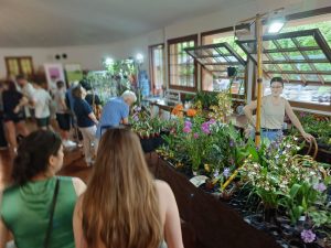 Scopri di più sull'articolo MAGREGLIO: ORCHID SHOW DI “ASSO INCONTRA” PROFUMO D’ESTATE E GRANDE AFFLUENZA AL GHISALLINO