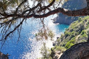 Scopri di più sull'articolo SORI: TRA GENOVA E PORTOFINO C’E’ UN PICCOLO “GOLFO PARADISO” DA VISITARE E DA APPREZZARE