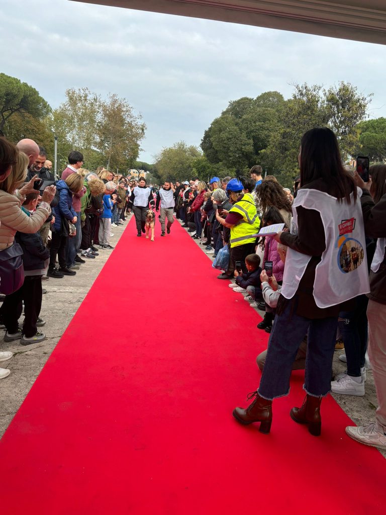 Scopri di più sull'articolo ROMA: IL CANILE DI PRESTIPINO VA IN CITTA’ E MOSTRA I BELLI E MONELLI A QUATTRO ZAMPE