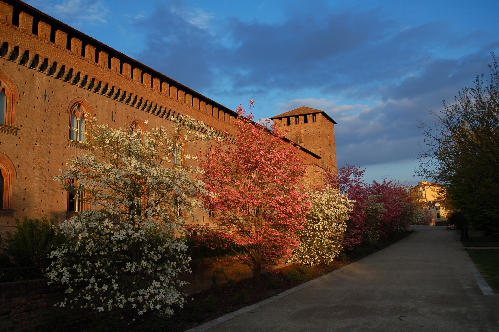 Scopri di più sull'articolo PAVIA: IL COMUNE CERCA UN REFERENTE TRA I COMMERCIANTI PER L’ORGANIZZAZIONE DELLE LUMINARIE NATALIZIE E I VARI EVENTI