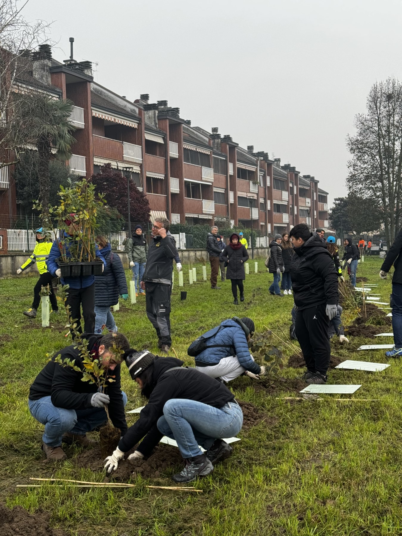 Scopri di più sull'articolo ZIBIDO SAN GIACOMO: “FORESTAMI” PRESSO IL PARCO DI VIA MORO REALIZZATA NUOVA AREA BOSCHIVA