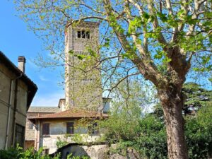 Scopri di più sull'articolo Como nuova apertura straordinaria Basilica di San Carpofor