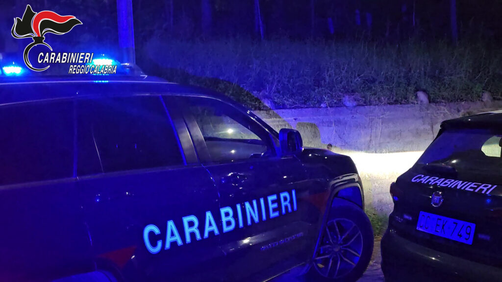 Scopri di più sull'articolo GIOISA JONICA: FERMATO DAI CARABINIERI IL SERIAL INCENDIARIO