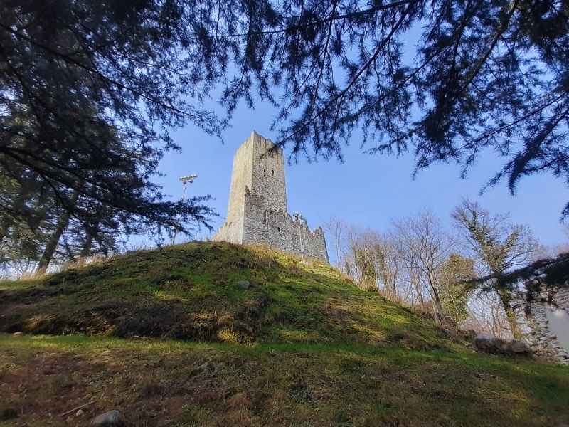 Scopri di più sull'articolo COMO: AL VIA I TOUR GUIDATI AL BARADELLO CIRCONDATI DAL PARCO SPINA VERDE