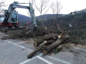 Scopri di più sull'articolo CASLINO D’ERBA: TUTTI INSIEME PER CASLINO “solidarietà ai cittadini e alle attività commerciali e artigianali”