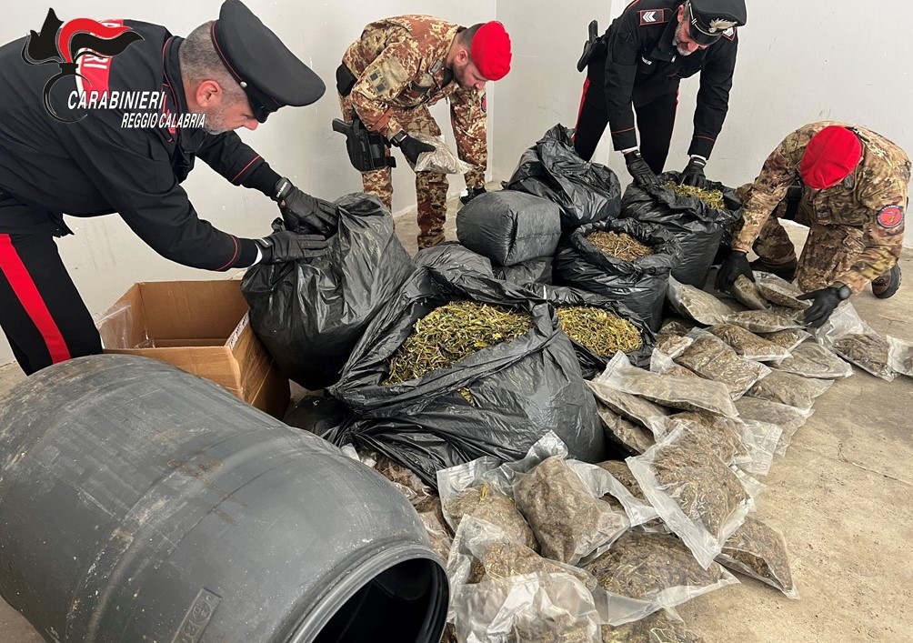 Scopri di più sull'articolo ROCCELLA JONICA: UN INTERO STOCK DI MARIJUANA NASCOSTO IN CASA NELLA LOCRIDE ARRESTATO DAI CARABINIERI UN 35ENNE