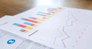 Scopri di più sull'articolo CREMONA: Rapporto sugli stranieri residenti in provincia al 1° gennaio 2024
