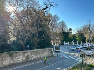 Scopri di più sull'articolo CERNOBBIO: SENSO UNICO ALTERNATO IN VIA REGINA PER LA MESSA IN SICUREZZA A CAUSA DI UNA PIANTA