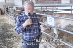 Scopri di più sull'articolo ASSO: MORTO FRANCO ENICE AMICO DEGLI ANIMALI E PRESIDENTE DEL GASP