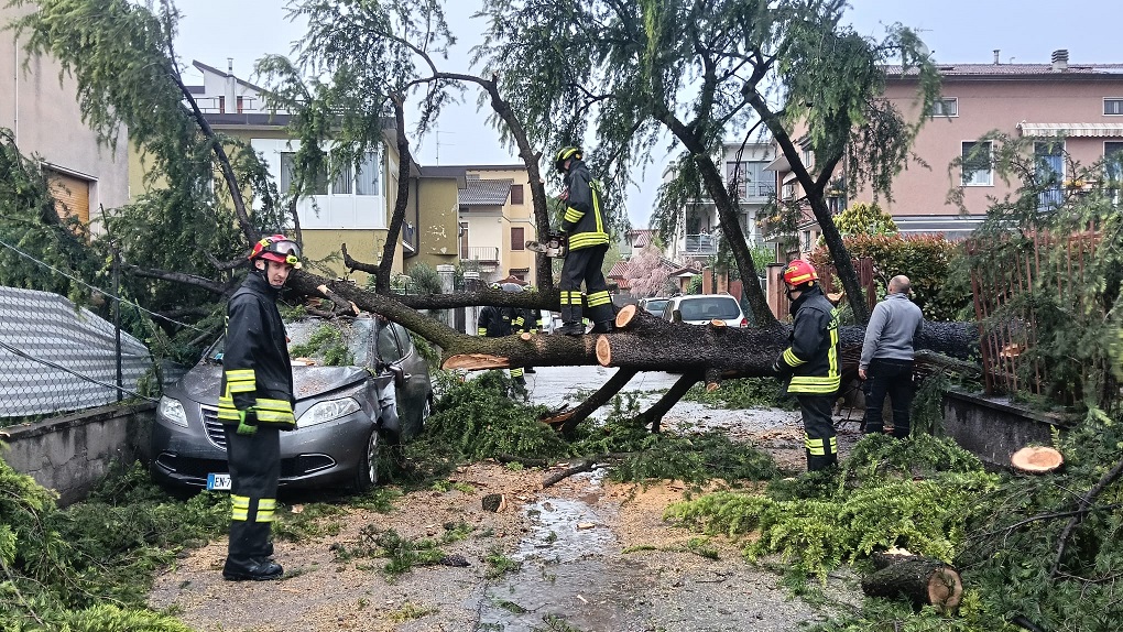 Scopri di più sull'articolo MALTEMPO, SQUADRE AL LAVORO PER TOGLIERE GLI ALBERI CADUTI