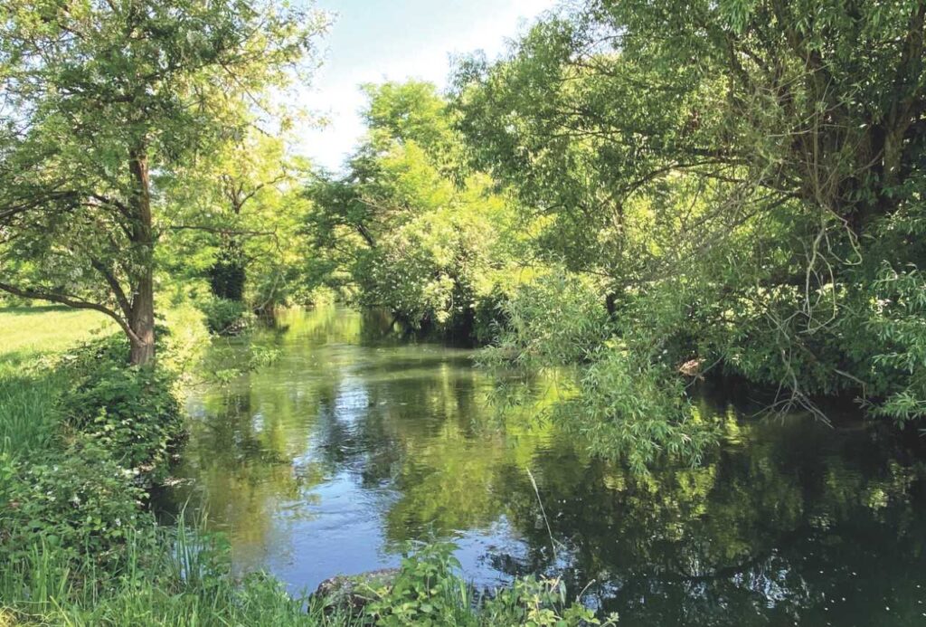 Scopri di più sull'articolo Rozzano è.. natura. Per una città sempre più verde