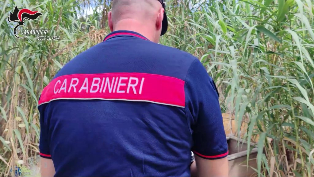 Scopri di più sull'articolo Servizio anti Roghi nella piana di gioia tauro: carabinieri denunciano 14 persone