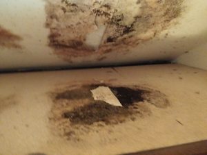 Scopri di più sull'articolo CIVENNA: UN PAESE CON LE CASE DA INCUBO TRA RESIDENTI E TURISTI MESSI IN SCACCO DA PROPRIETARI FURBETTI PROTETTI DA QUALCHE SANTO