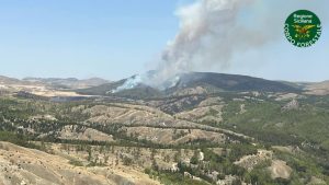 Scopri di più sull'articolo Sicilia: Incendi, 83 quelli registrati oggi nell’Isola, gli interventi del Corpo forestale e della Protezione civile