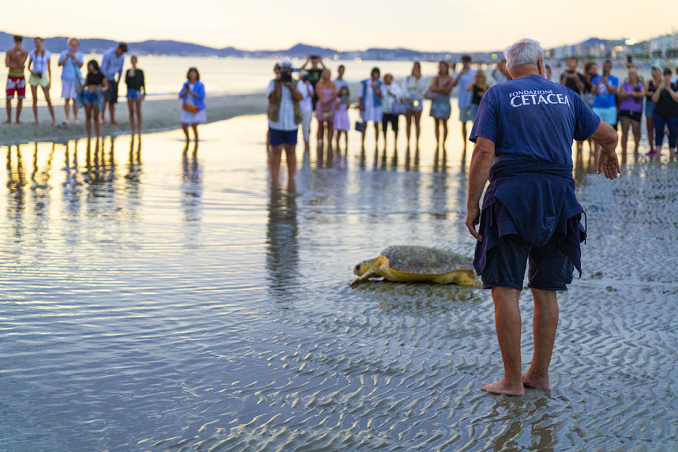 Scopri di più sull'articolo Riccione lancia il suo primo Green Day: un patto tra città e natura