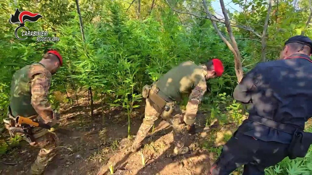 Scopri di più sull'articolo CAGLIARI: OPERAZIONE DEI CARABINIERI CONTRO IL NARCOTRAFFICO INTERNAZIONALE