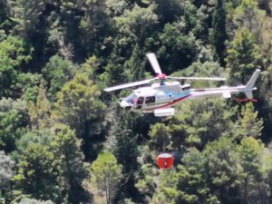 Scopri di più sull'articolo Sicilia: Roghi, Corpo Forestale ne rileva 3.757 dal 15 maggio ad oggi