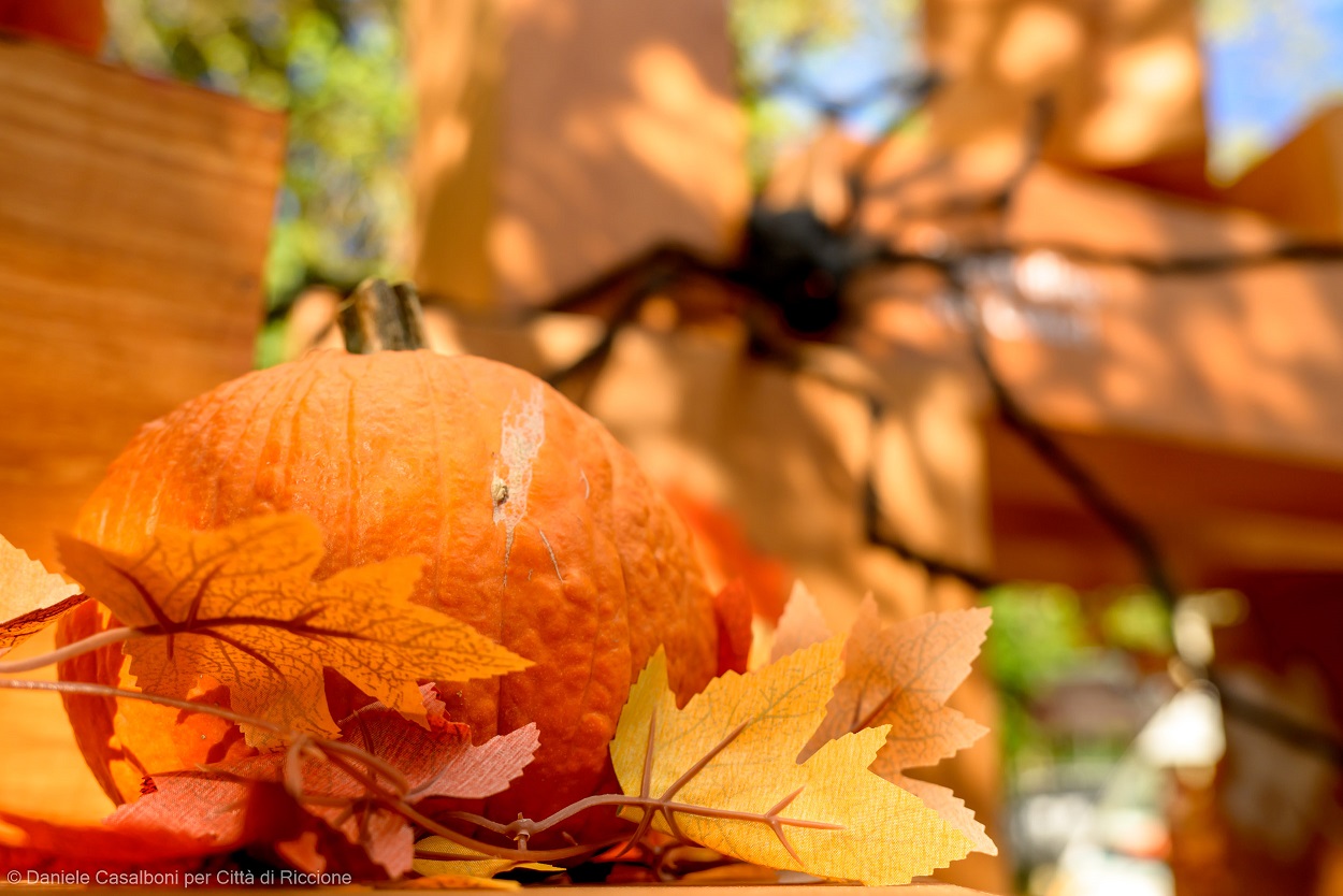 Scopri di più sull'articolo Inaugurato a Riccione il “Parco delle zucche” per tutta la famiglia