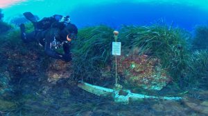 Scopri di più sull'articolo La Sicilia protagonista alla Borsa mediterranea del turismo archeologico di Paestum