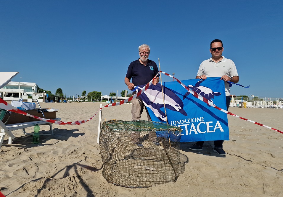 Scopri di più sull'articolo Comune di Riccione e Fondazione Cetacea insieme per il mare