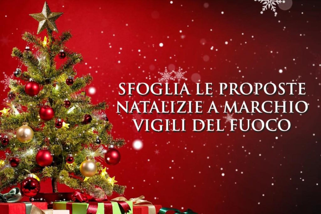 Scopri di più sull'articolo PAVIA: SOSTEGNO AI VIGILI DEL FUOCO CON LA PROPOSTA NATALIZIA