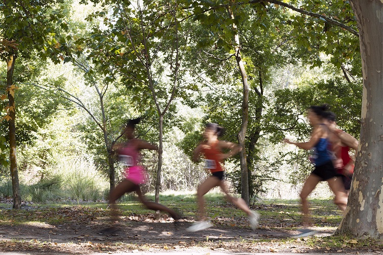 Scopri di più sull'articolo Riccione: al via la campestre “Cross dell’Adriatico”