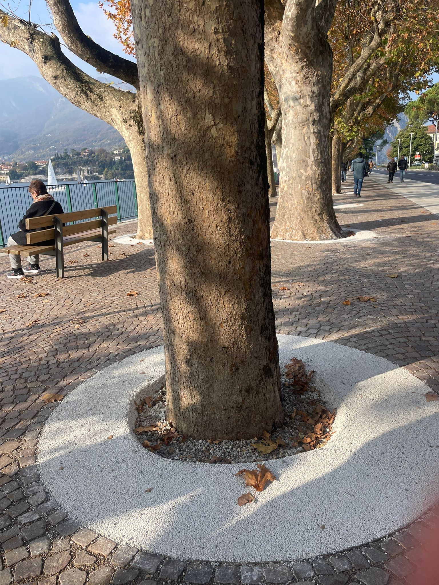 Al momento stai visualizzando Lungolago di Lecco: il “tocco estetico finale” che offende la città