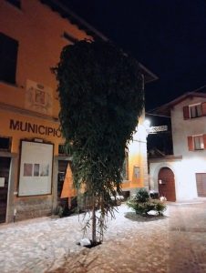 Scopri di più sull'articolo LASNIGO: L’ALBERO DI NATALE A TESTA IN GIU’ TRA STUPORE CURIOSITA’