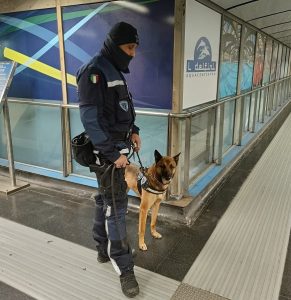 Scopri di più sull'articolo SICUREZZA, SULLA METRO CON FUNGHI ALLUCINOGENI E MARIJUANA: SMASCHERATI DAL CANE MAQUI