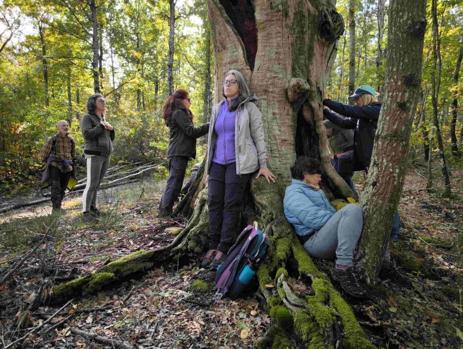 Scopri di più sull'articolo Riccione celebra la Natura: il 19 aprile all’Arboreto Cicchetti arriva “Connessioni naturali”