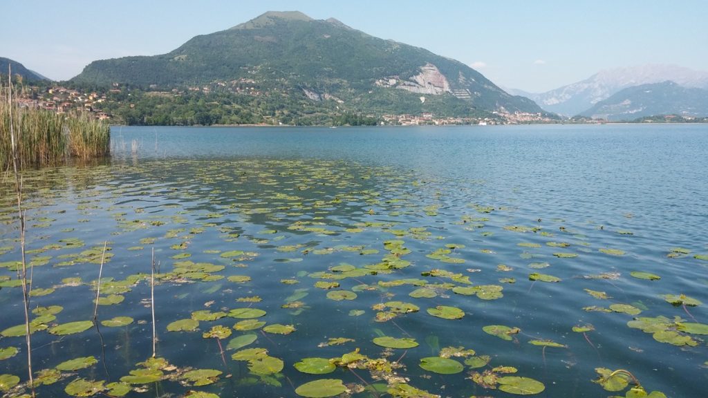 Scopri di più sull'articolo Triangolo Lariano: rischio inquinamento per fiume Lambro e lago di Pusiano