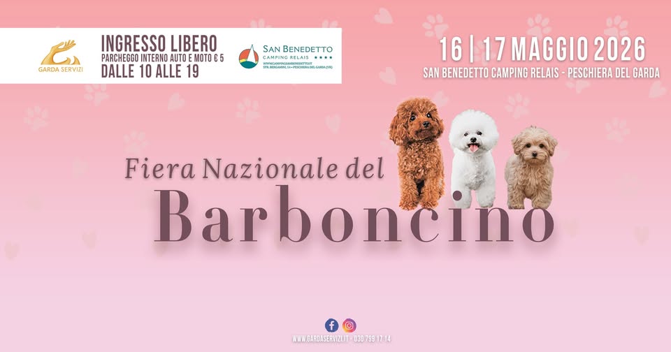 Al momento stai visualizzando PESCHIERA DEL GARDA: FIERA DEL BARBONCINO SECONDA EDIZIONE ORGANIZZATA DA SAN BENEDETTO CAMPING