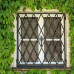 A rustic window with vine-covered facade and decorative metal bars, captured in Augsburg, Germany.
