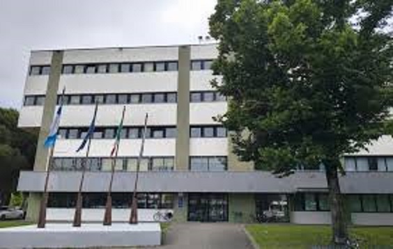 Scopri di più sull'articolo Bellaria Igea Marina investe sul lavoro: in Comune l’Open Day dedicato all’orientamento e alla ricerca di personale