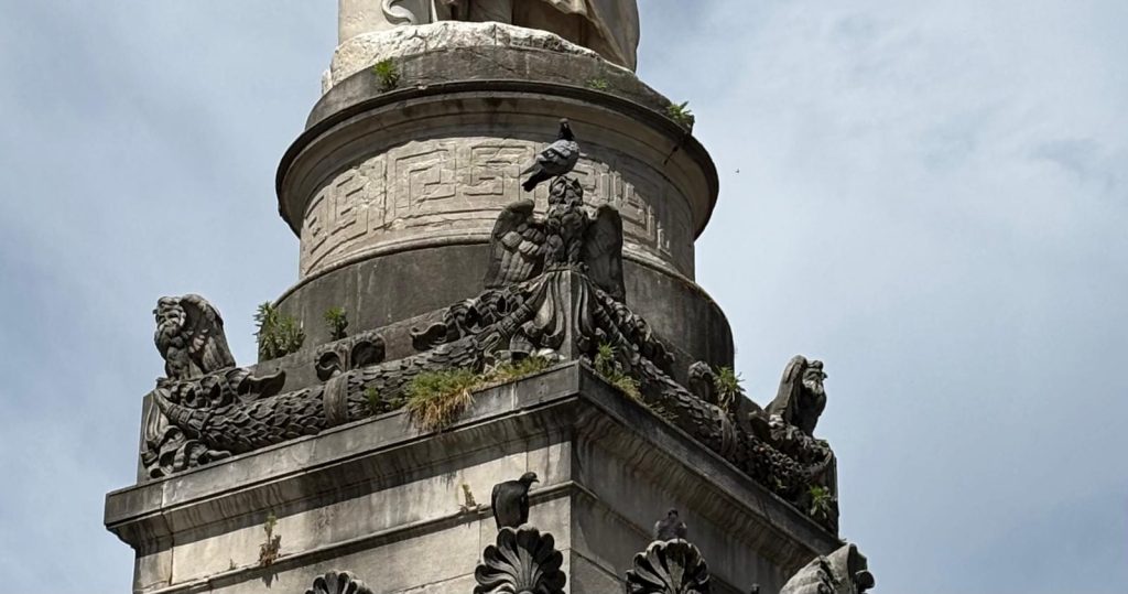 Scopri di più sull'articolo COMO: CANTALUPPI (FDL) “Tre anni dopo la mia denuncia la statua di Alessandro Volta è di nuovo invasa dalle erbacce”