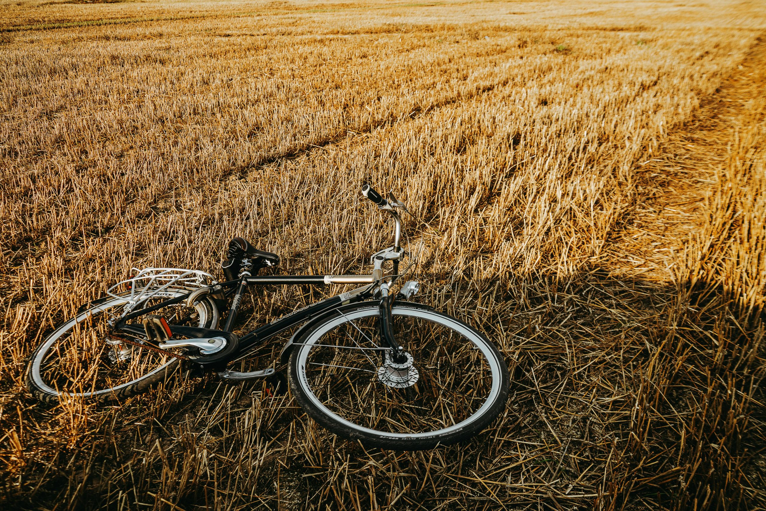 A vintage bicycle lies on a golden field in Minsk, Belarus, capturing the serene countryside landscape.