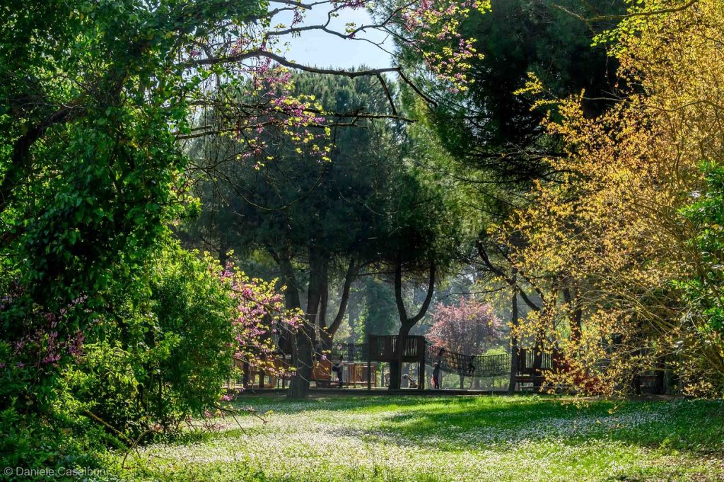 Scopri di più sull'articolo Riccione, Parco della Resistenza: pubblicato il bando di gara per l’affidamento del chiosco-bar