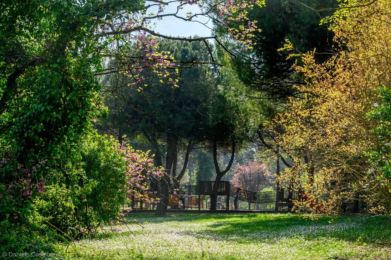 Al momento stai visualizzando Riccione, Parco della Resistenza: pubblicato il bando di gara per l’affidamento del chiosco-bar