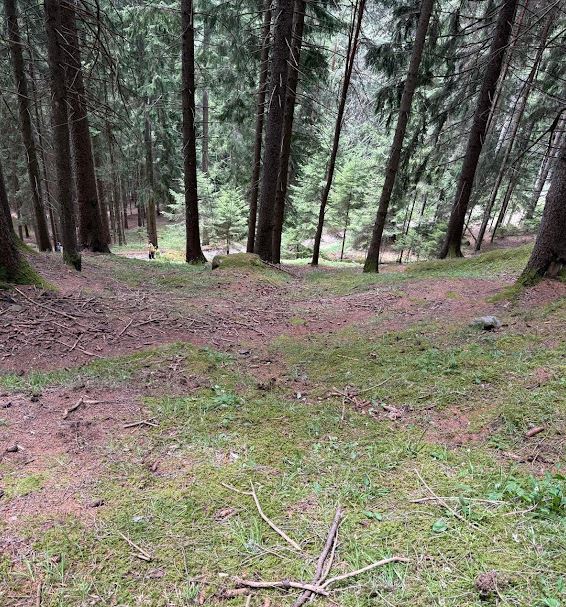 Al momento stai visualizzando Tragico malore nei boschi della Val di Cembra: perde la vita un fungaiolo trentino di 73 anni