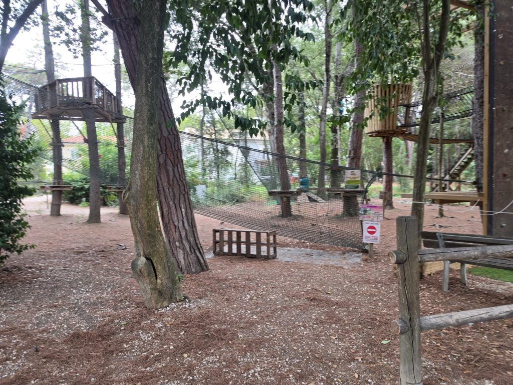 Scopri di più sull'articolo Campo da paintball all’Arboreto Cicchetti, la Giunta frena: incompatibile con l’identità del parco
