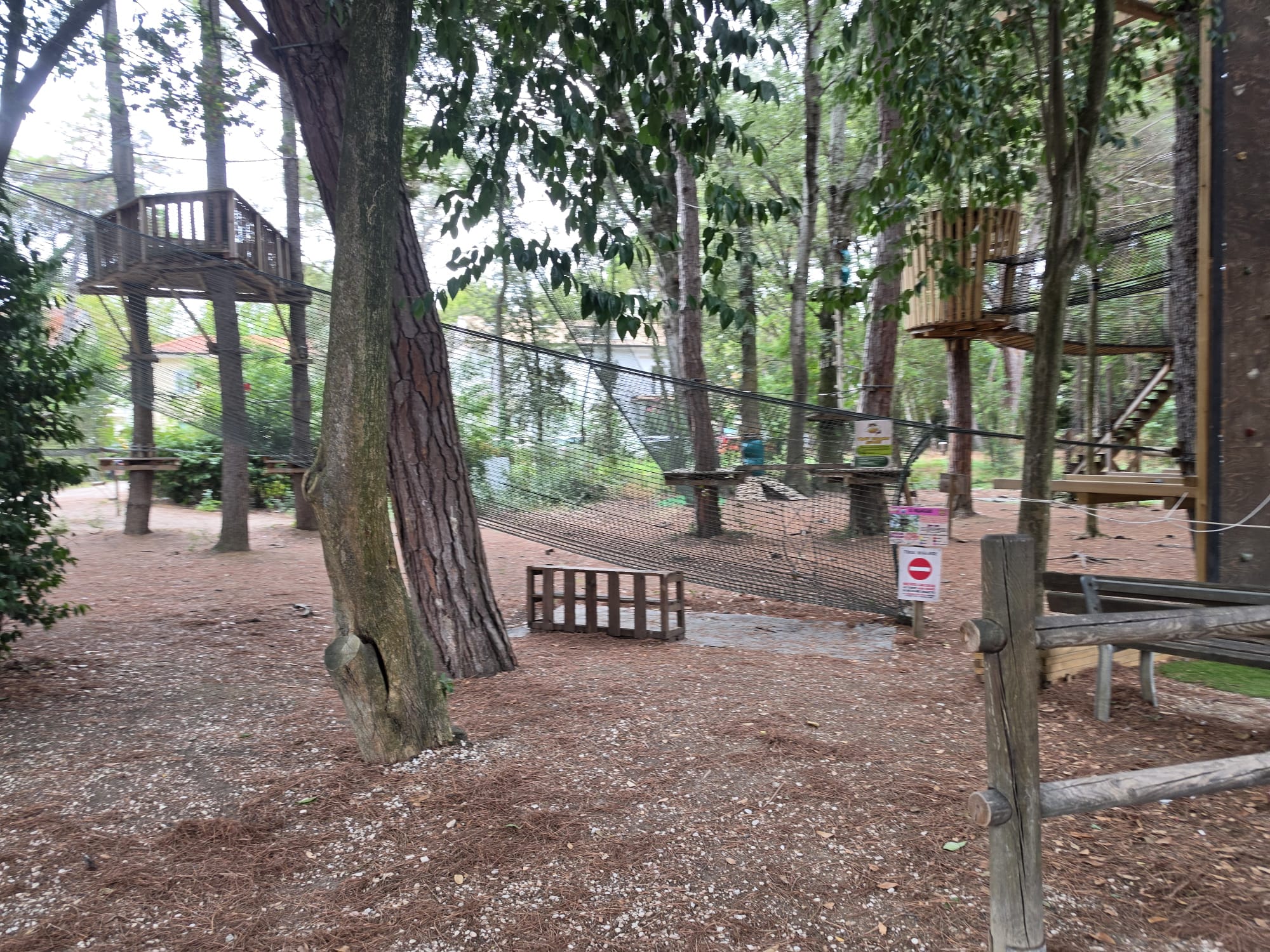 Al momento stai visualizzando Campo da paintball all’Arboreto Cicchetti, la Giunta frena: incompatibile con l’identità del parco