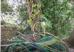 Scopri di più sull'articolo Genova: bonificata la discarica abusiva di via Carpenara a Pegli