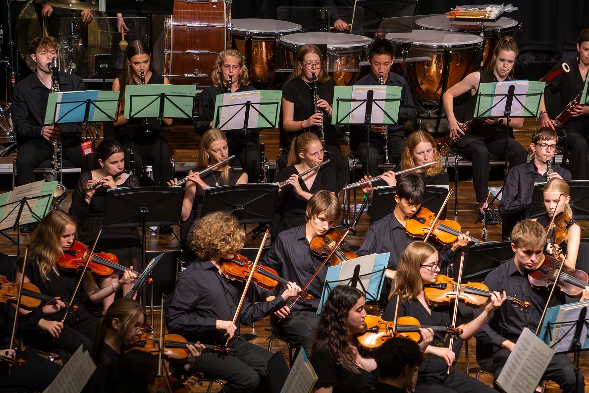 Al momento stai visualizzando Brescia, la Essex Youth Orchestra in concerto giovedì 27 agosto all’Auditorium San Barnaba