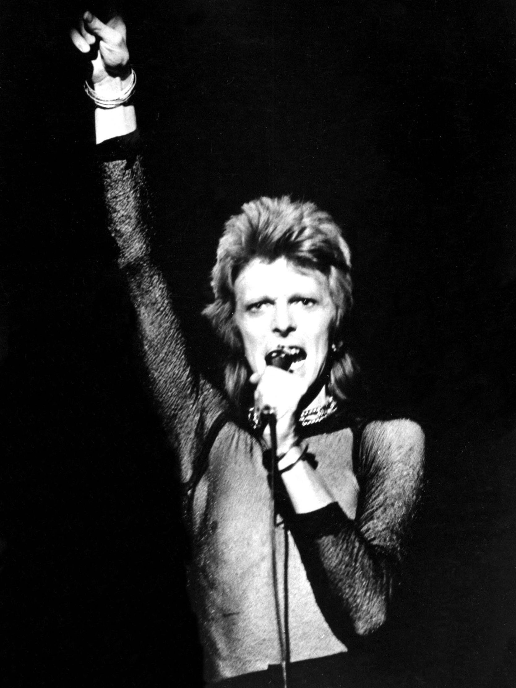 Al momento stai visualizzando Bellaria Igea Marina, al via domenica “Ibrida. Culture in miscela”: la prima serata è dedicata a David Bowie
