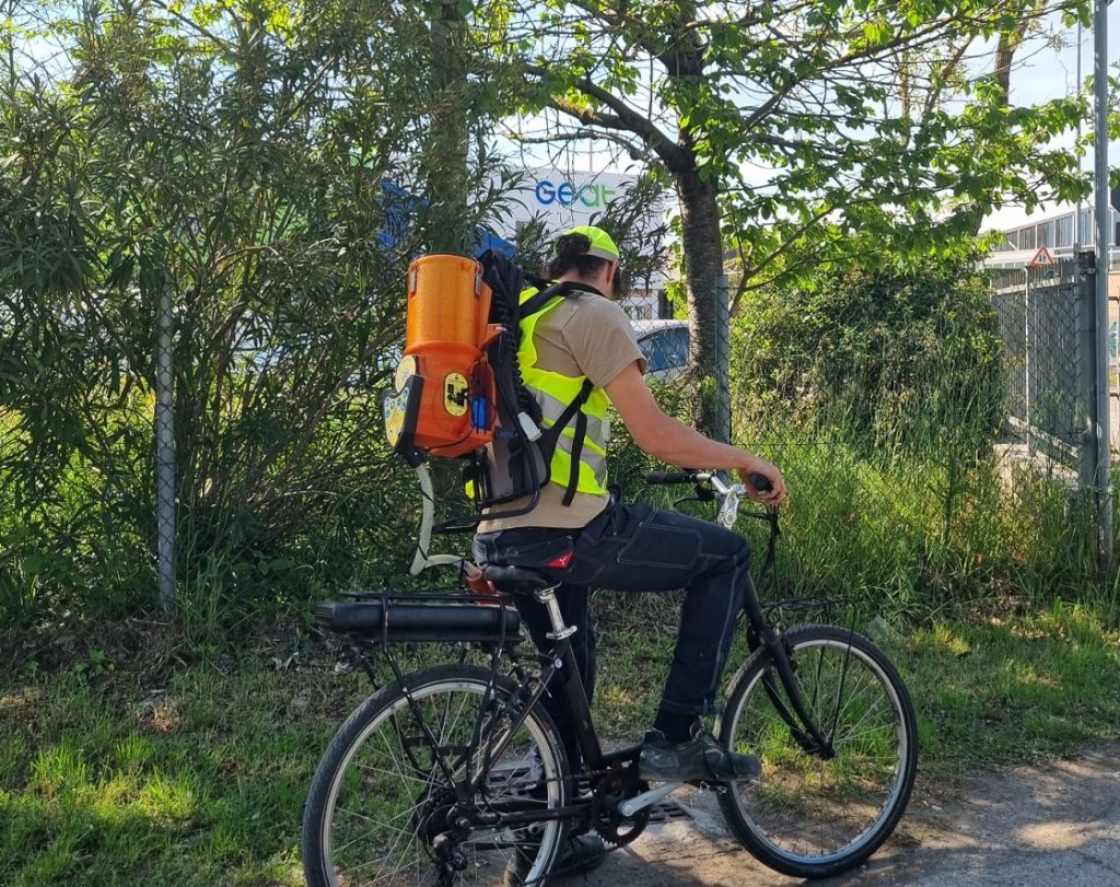 Scopri di più sull'articolo Riccione, lotta alle zanzare: da lunedì 10 agosto Geat distribuisce il larvicida gratis ai cittadini