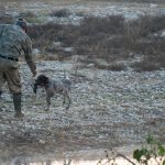 A hunter and his dog retrieve prey on a rocky outdoor terrain, depicting a hunting scene.